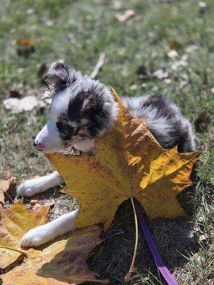 Clinton River Heritage Park
