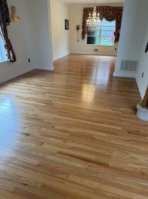 Eduardo Carpet & Floors