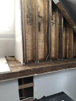 AAA All City Contracting