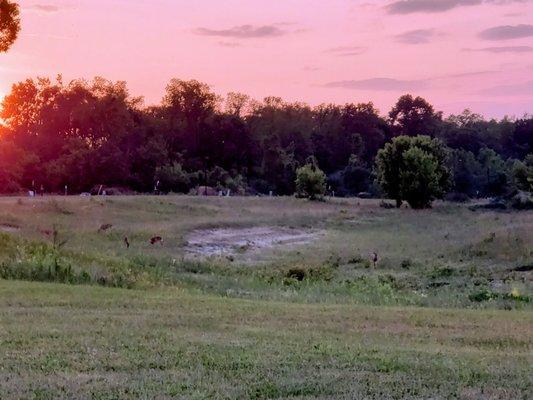 At Lone Oak Properties in Tecumseh