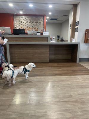 Candlewood Suites Houston I-10 East By IHG