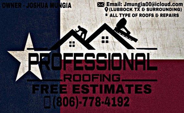 Professional Roofing