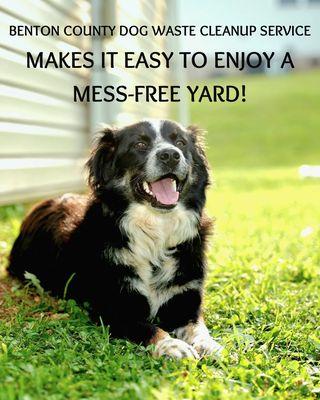 Benton County Dog Waste Cleanup Service