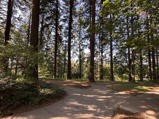Mount Tabor Park