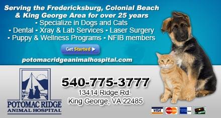 Ad powered by: YPC Media