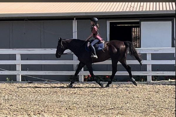 Angie Martin Lapinski Training Stable