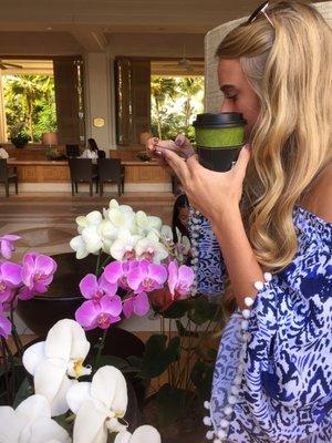 Copyrighted|Roxane Burch @2016