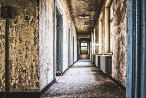 Water and mold damage assessments and project management