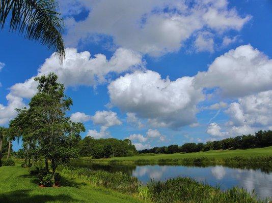 Spring Run Golf Club