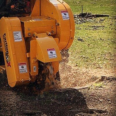 R&B Stump Removal