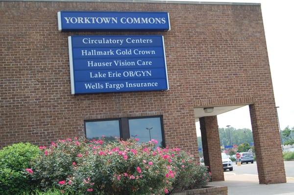 Circulatory Centers Erie Location