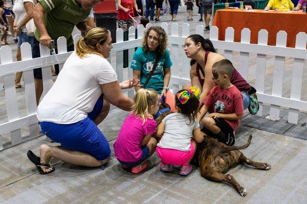 Countdown2Zero event with Animal Care and Control with potential adopters for my dog. Can you spot him in there?