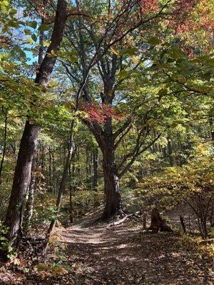 Mint Springs Valley Park