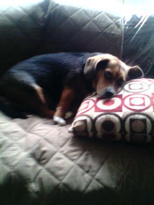 My beag, Tova.