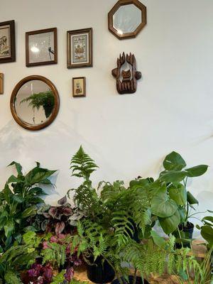 Cast & Grey Botanical