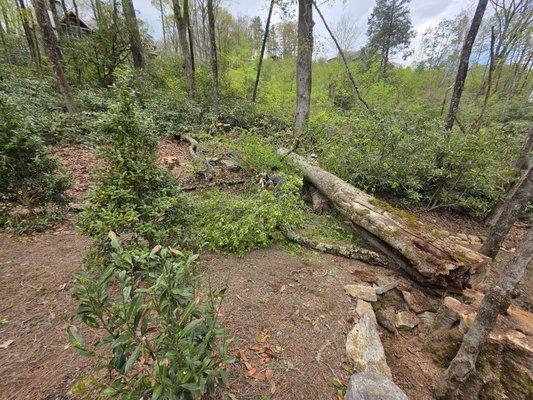 M & R Hauling and Delivery