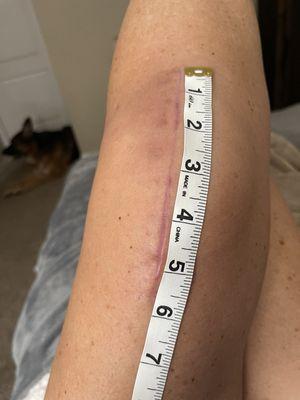 Orlando Orthopaedic Center