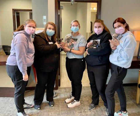 Dennis Carreras, DMD - Dentistry For Children