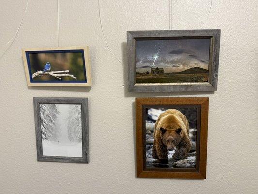 Just a few examples of some of the amazing and creative work they've done for me.