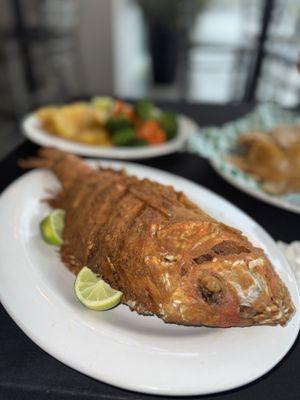 Zocalo Grill