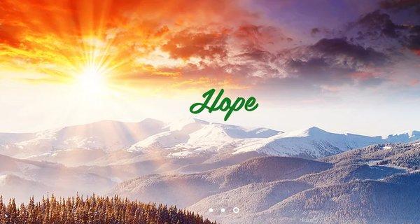 Love Peace and Hope Counseling Agency
