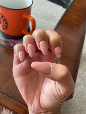 No shape is the same