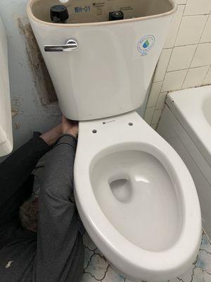 New toilet installed