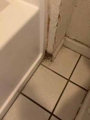 Wrought on wall next to tub.