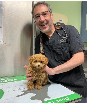 Staten Island Veterinary Group