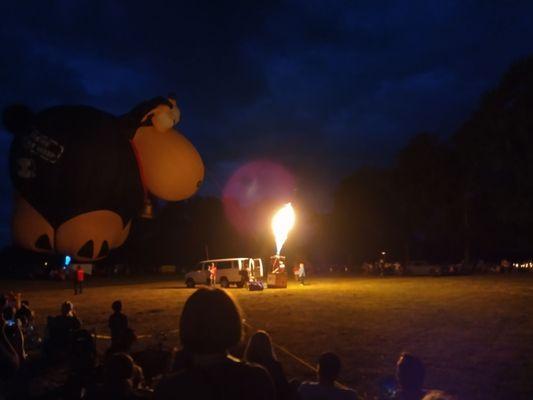 Northwest Art & Air Festival