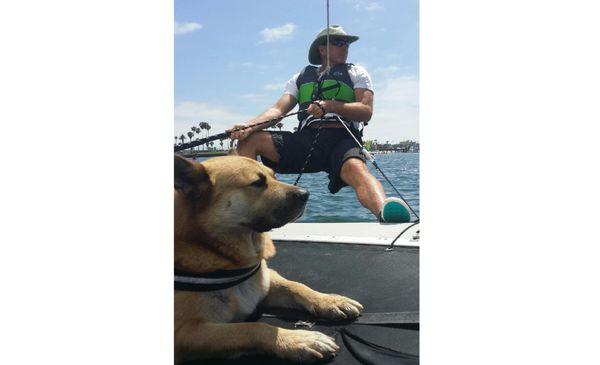 Real Estate Opportunities