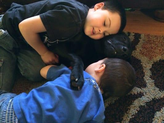 Pawsible independence