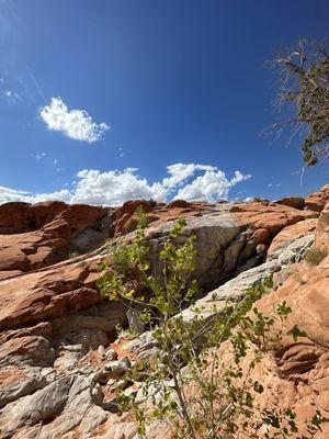 Gunlock Falls