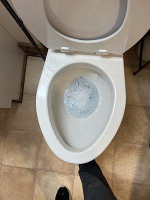 Diamond Shine Cleaning