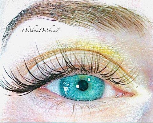 The Brow And Lash Zone