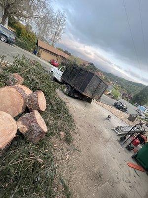 Roberto Handyman Services