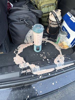 Magic Trunk Mobile Detail