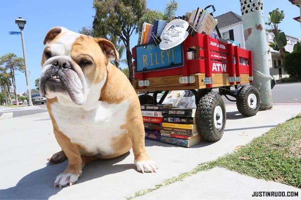 Riley's Red Wagon Book Swap