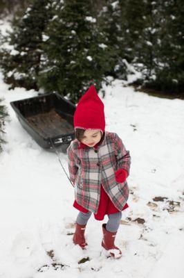Our first time tree hunting in the snow