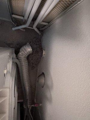 Lots of gunk from the dryer vent