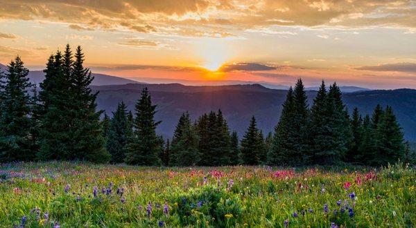 Mountain View Behavioral Health