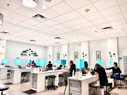 Toi Nail Spa Wellington Inc