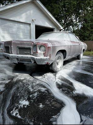 Mo's Professional Detailing