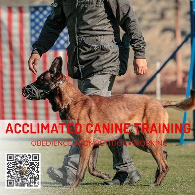 Acclimated Canine Training