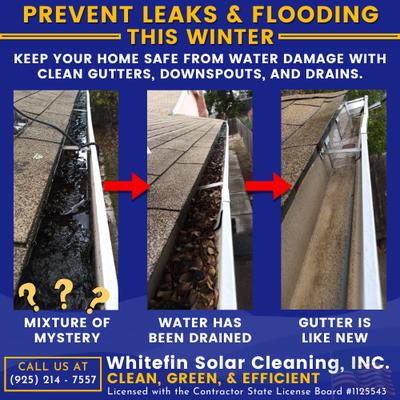 Whitefin Solar Cleaning