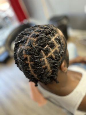 Starter locs with Barrell twist