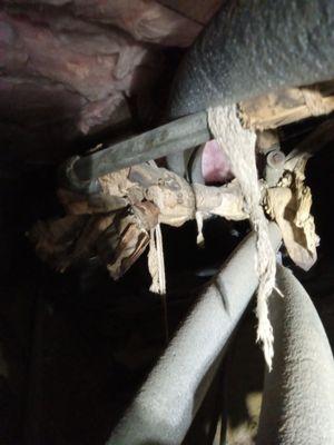 Stormi's General Contracting