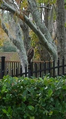 Brooks Rehabilitation Hospital - University Campus