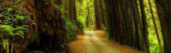 Duncan House Sober Living