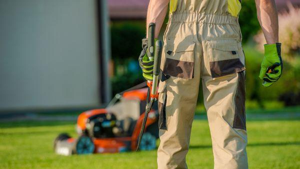 Black Willow Lawn Care